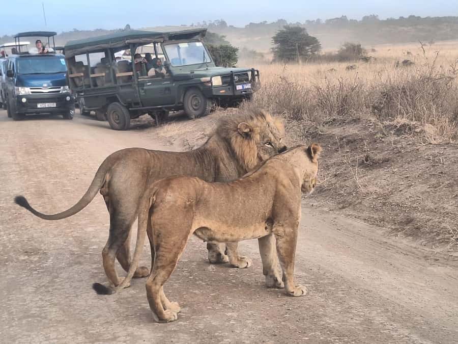 Nairobi National Park,Giraffe Center,Orpanage&Karen Blixxen - The guide and the pace of the day