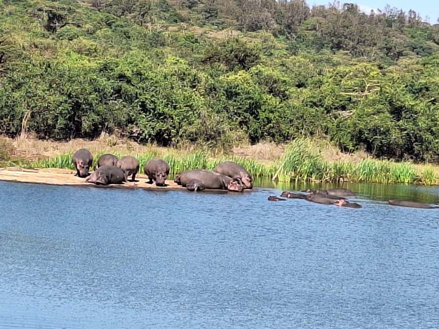 Nairobi National Park,Giraffe Center,Orpanage&Karen Blixxen - Should you book it?