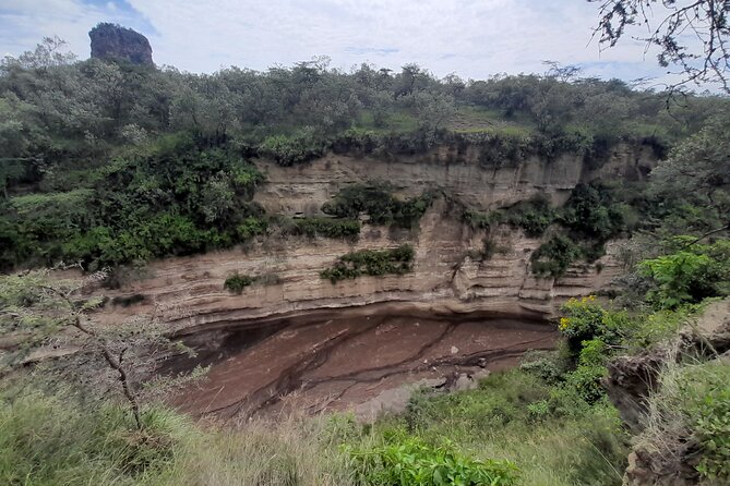 Nairobi National Park Group Tour - Who will get the most from this outing