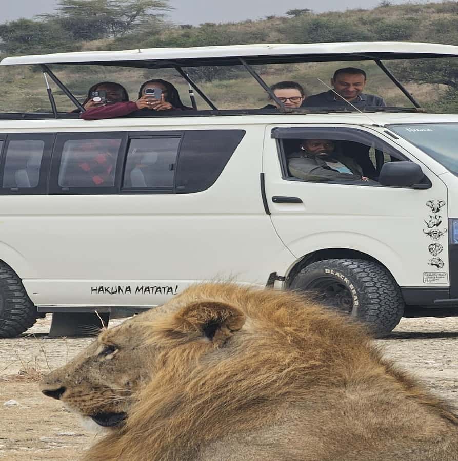 Nairobi: National Park Guided Game Drive - Nairobi National Park, safari country beside the city