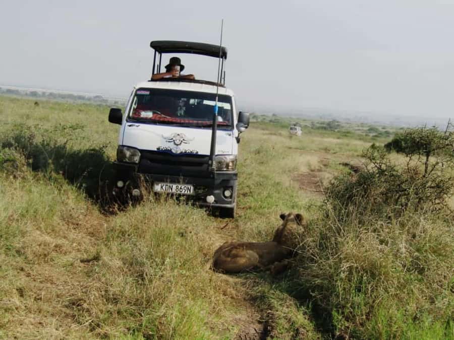 Nairobi: National Park Guided Game Drive For 5 Hours - Key points to know before booking