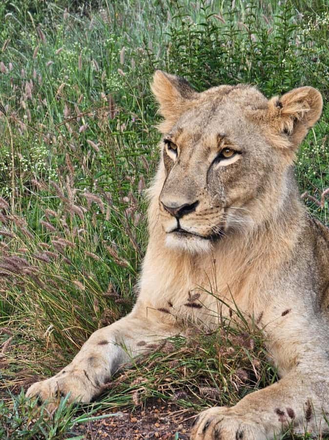Nairobi: National Park Guided Game Drive For 5 Hours - Who will enjoy this Nairobi safari most