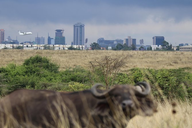 Nairobi National Park guided tour - Timing, weather, and the odd itinerary wording