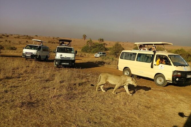 Nairobi National Park Half Day Game Drive Tour With Free WIFI - Coffee, community shopping, and the beads factory visit