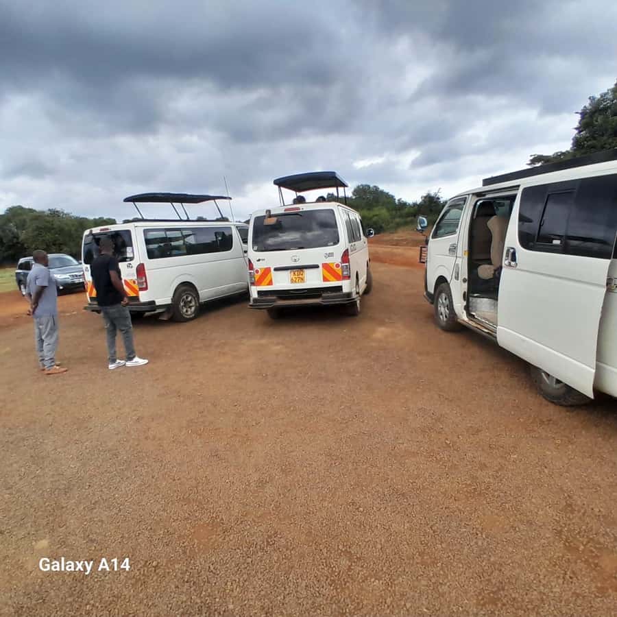 Nairobi National Park: Half-Day Group Tour with Pickup - Practical limits to keep in mind
