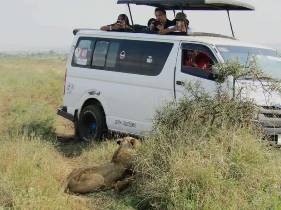 Nairobi National Park Half-Day Guided Game Drive With Pickup - A city safari with a very short transfer
