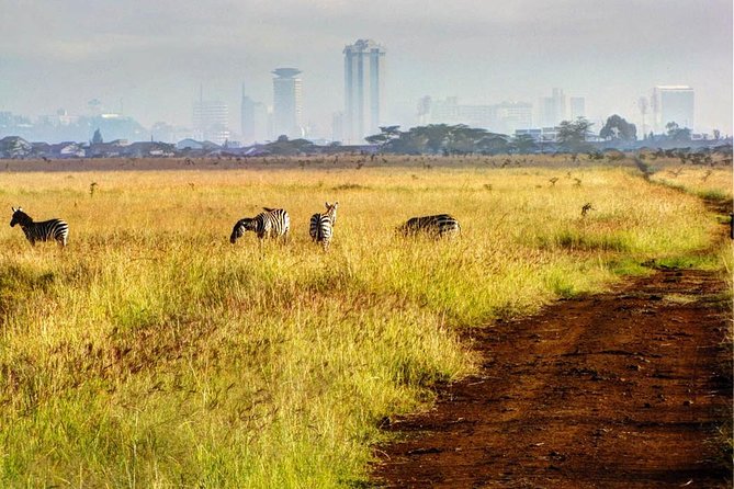 Nairobi National Park: Half Day Guided Tour From Nairobi - Four hours beneath the pop-up roof