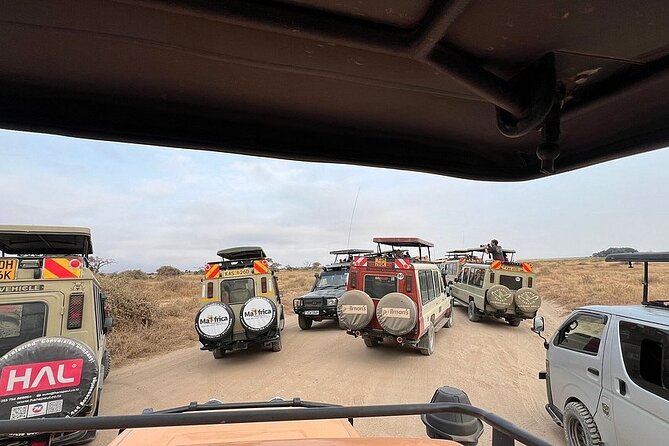 Nairobi National Park Half Day with Pickup - Who will get the most from this safari?