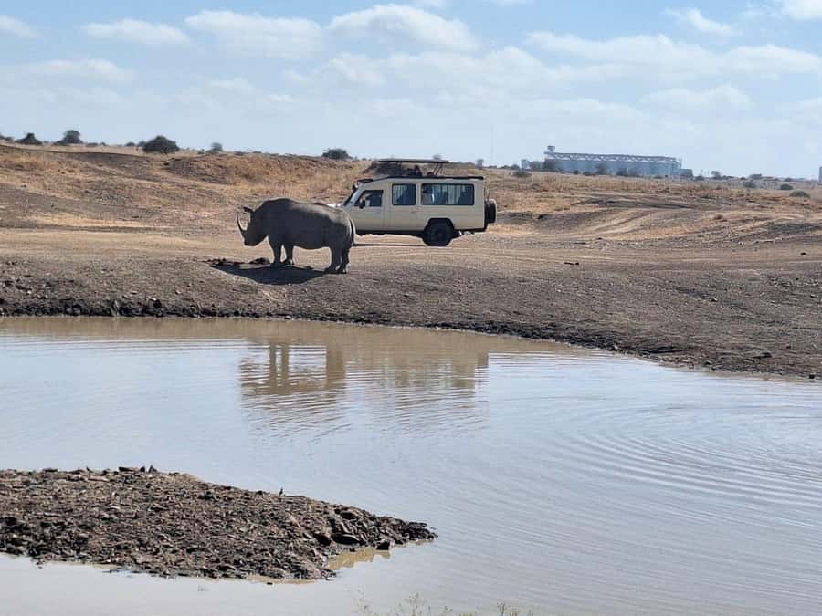 Nairobi National Park Morning Or Evening Game Drive Tour - What the five-hour outing is like