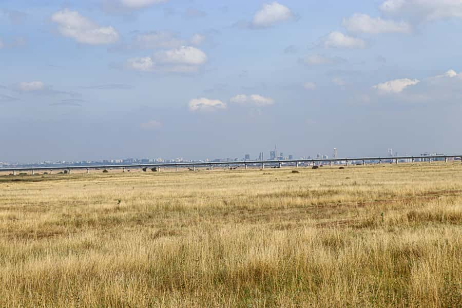 Nairobi National Park, Orphanage, Giraffe & Beads Tour - Booking advice and final verdict