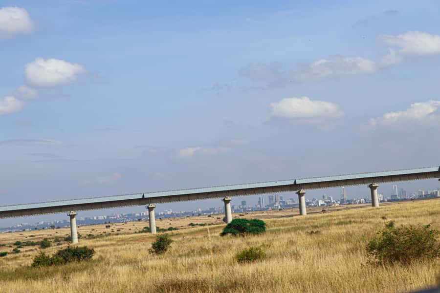 Nairobi National Park, Orphanage, Giraffe & Beads Tour - The David Sheldrick Wildlife Trust and the 11:00 feeding