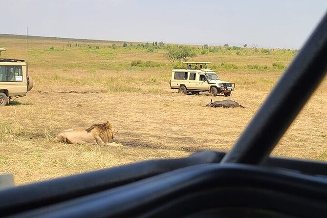 Nairobi National Park Private Half Day Tour with Pick up - Pickup from Best Western Plus Meridian Hotel