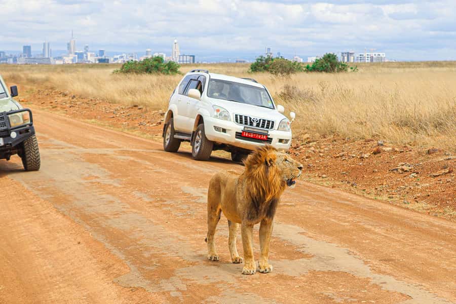 Nairobi: National Park Private Tour in 4X4 Jeep - Why Nairobi National Park makes a good first safari