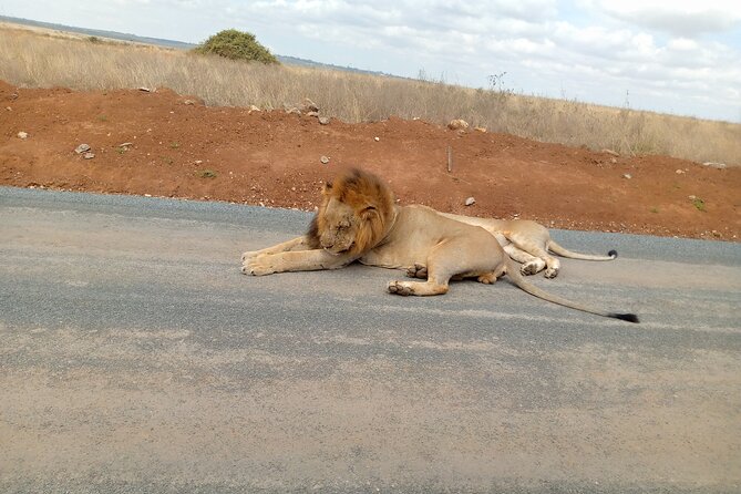 Nairobi National Park Safari With a Visit to Giraffe Center. - What the $80 price really covers