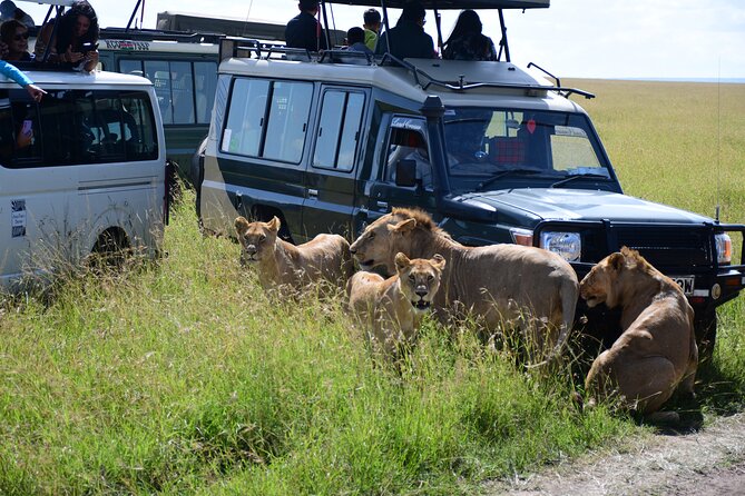 Nairobi National Park Shared Tour - What the guide adds to the morning