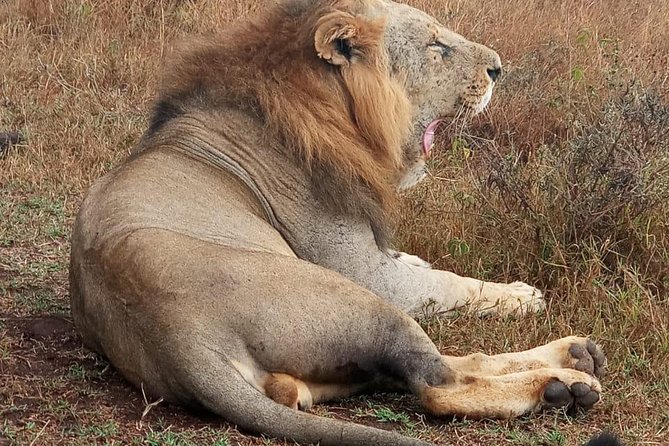 Nairobi National Park, Sheldrick Elephant, Giraffe Centre Tour - The real price: $50 plus entrance fees