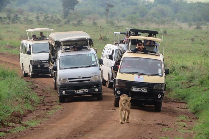Nairobi National Park, Sheldrick Elephant, Giraffe Centre Tour - Guide quality can shape the whole day