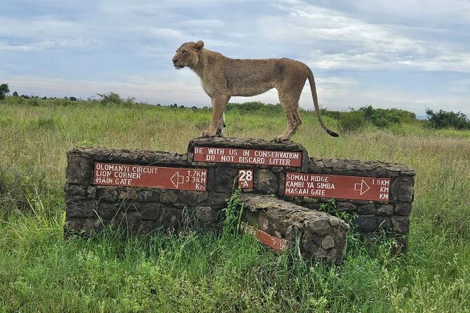 Nairobi National Park, Sheldrick Elephant, Giraffe Centre Tour - The 5:30 a.m. departure and open-roof van