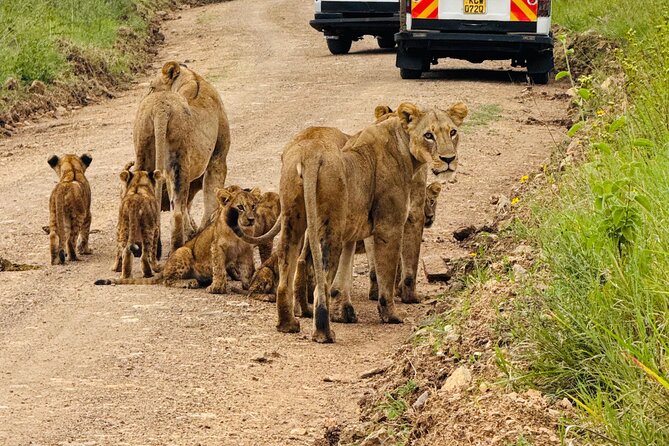 Nairobi National Park Sheldrick & Giraffe Centre Day Trip - Key points before you book
