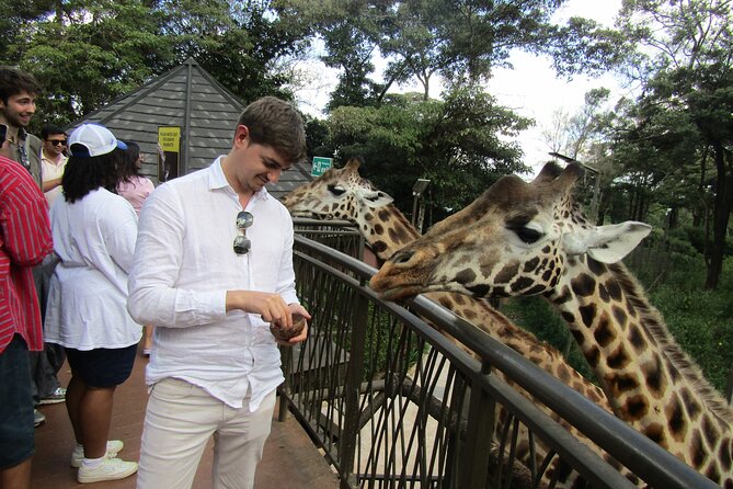 Nairobi National Park Sheldrick & Giraffe Centre Day Trip - Kazuri Beads, clay work, and local craft