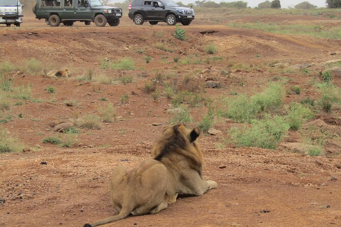Nairobi National Park Sheldrick & Giraffe Centre Day Trip - Who will like this Nairobi day trip?