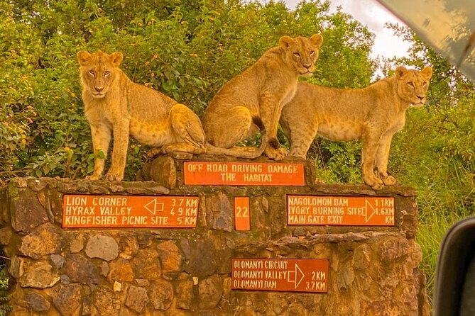 Nairobi National park sun rise game drive with pickup & drop-off - Nagolomani, Hyena Dam, and the park’s water spots