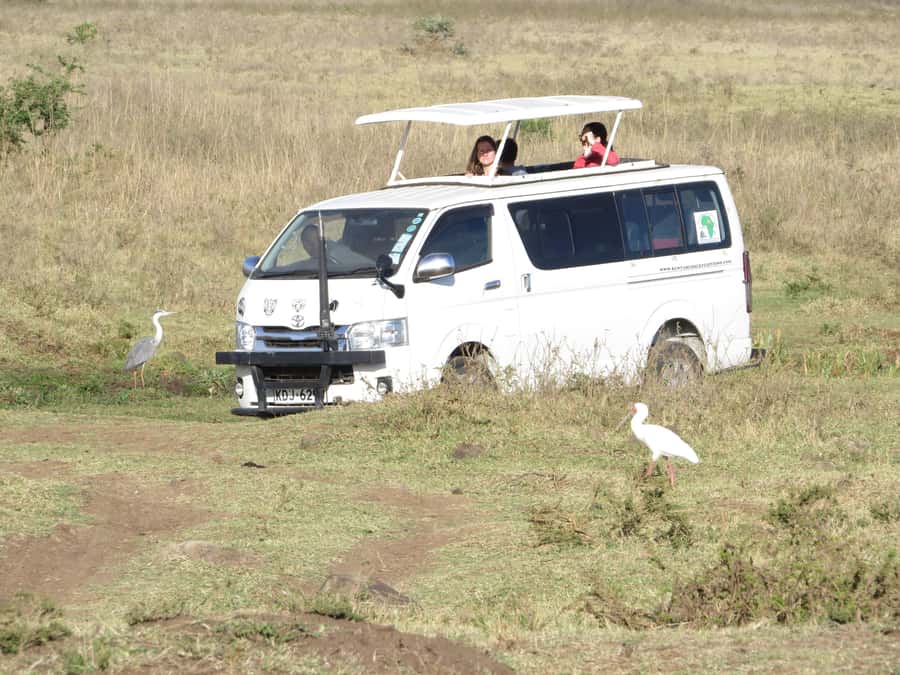 Nairobi national park: Sunrise and Sunset Tours - Key points to know before booking