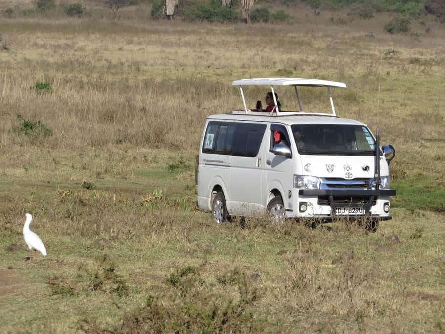 Nairobi national park: Sunrise and Sunset Tours - Sunrise or sunset: choosing the right departure