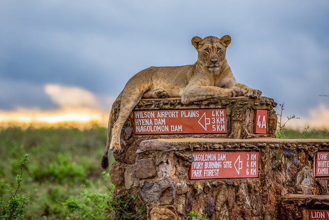 Nairobi National Park Tour - Adding the Giraffe Centre or Safari Walk