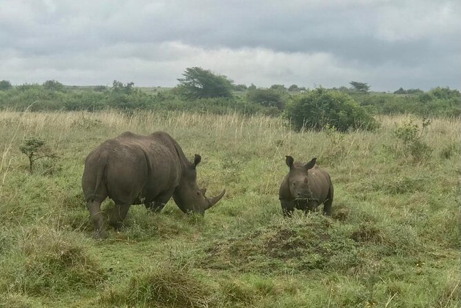 Nairobi National Park Tour - The optional Carnivore meal