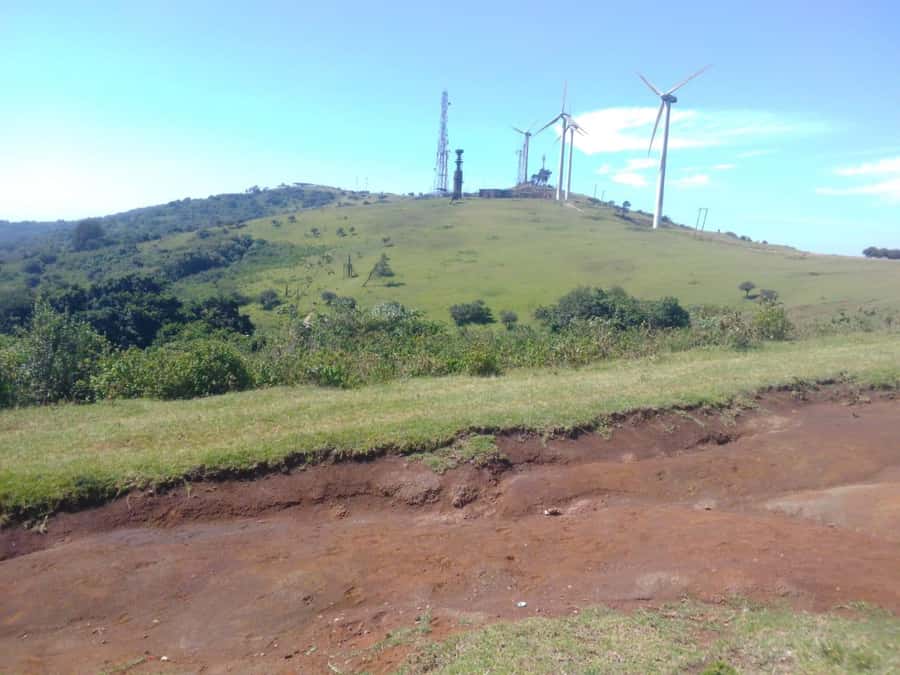 Nairobi: Ngong Hills Hiking and Zip Lining Tour - Indigenous Trees and Local Nature