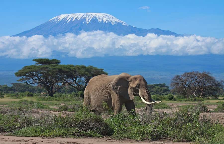 Nairobi: Overnight Safari Trip to Amboseli National Park - Why the Nairobi to Amboseli route matters