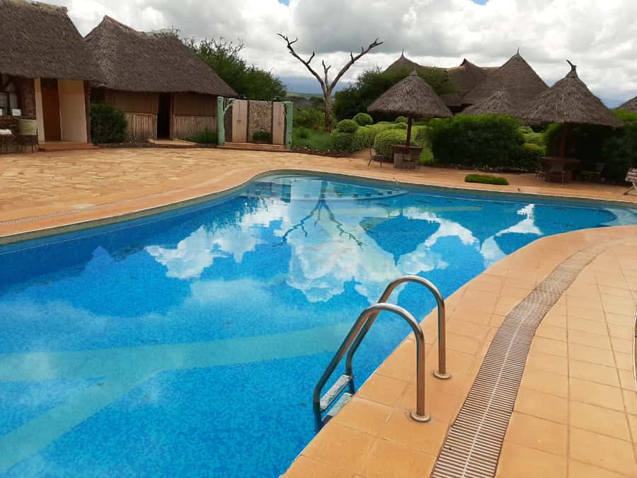 Nairobi: Overnight Safari Trip to Amboseli National Park - The second morning brings the best park time