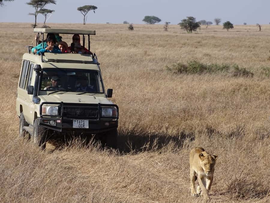 Nairobi: Overnight Safari Trip to Amboseli National Park - Who should choose this Amboseli safari?
