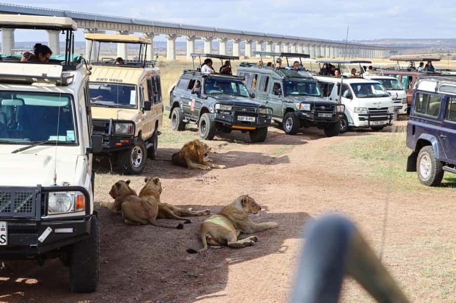 Nairobi Park, Giraffe & Elephant Orphanage with Museum Visit - Who will enjoy this day most?