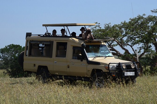 Nairobi Park Wildlife Safari - The 6:00 am departure matters