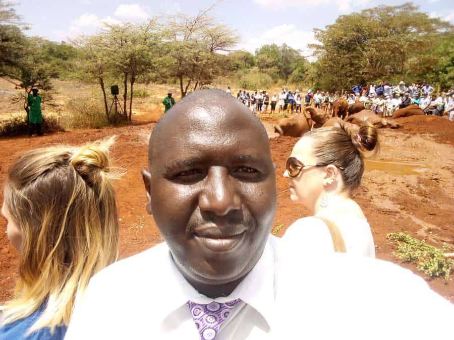 Nairobi: Private Elephant Orphanage Tour - The Nairobi National Park Fee Is the Big Budget Issue