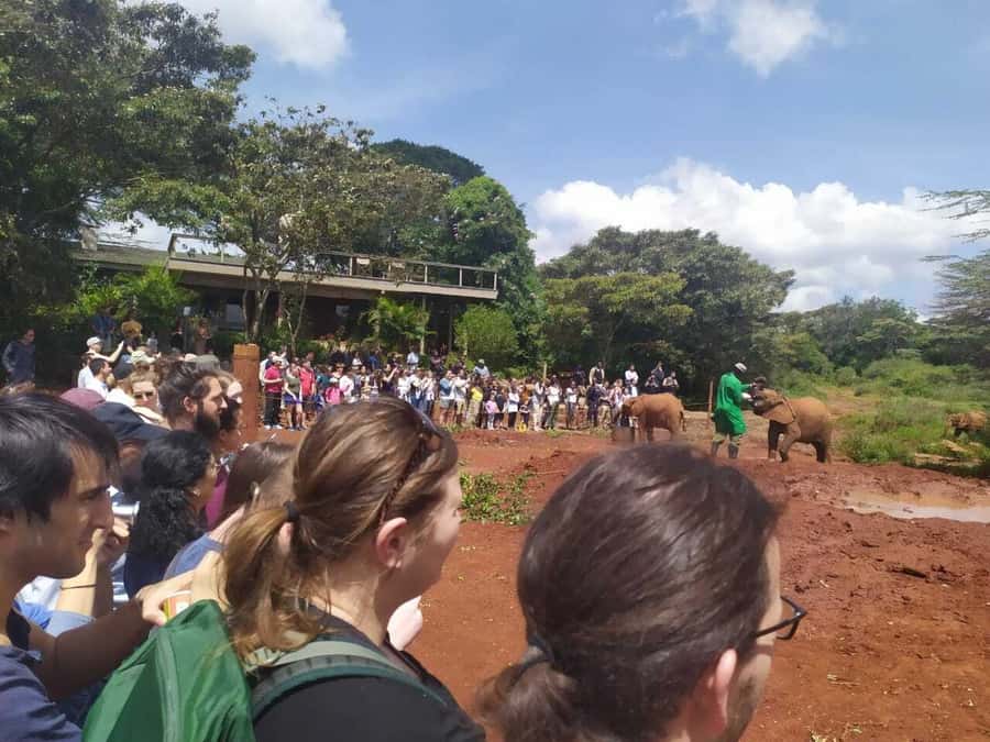 Nairobi: Private Elephant Orphanage Tour - Woodcraft and Kazuri Beads After the Elephants