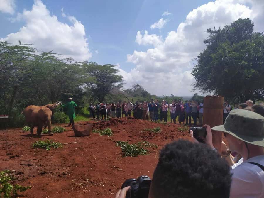 Nairobi: Private Elephant Orphanage Tour - How This Tour Compares With Booking Directly