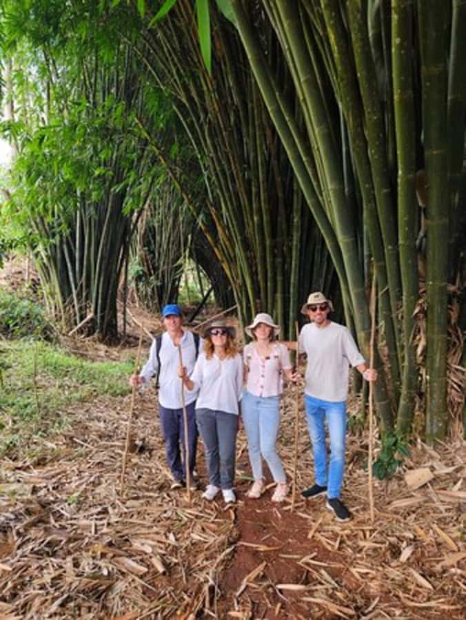 Nairobi: Purple Tea Farm Gatura Greens Day Trip - Picking leaves and making your own tea