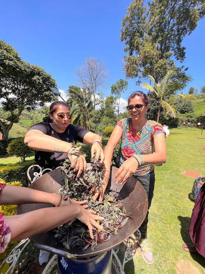 Nairobi: Purple Tea Farm Gatura Greens Day Trip - Who will enjoy this day most?