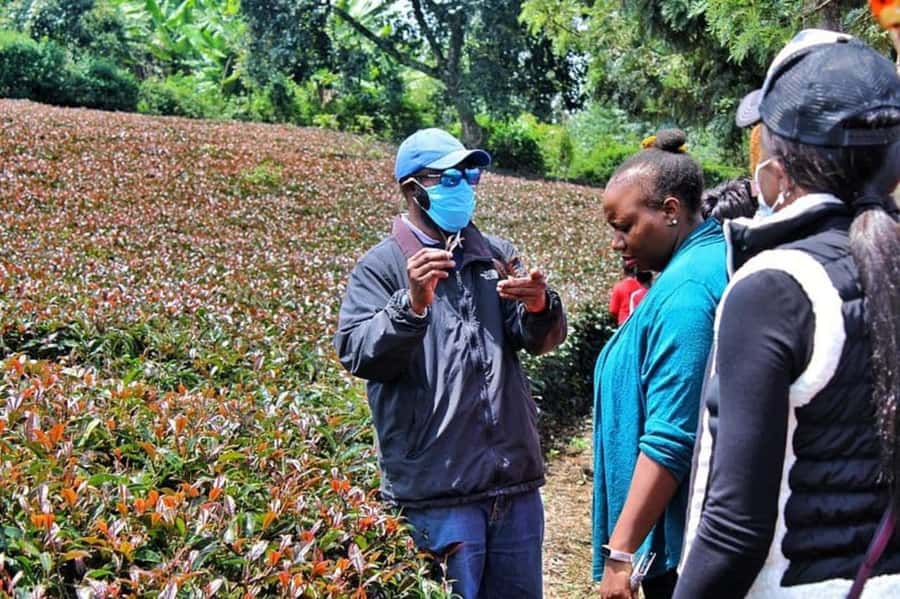 Nairobi: Purple Tea Farm Gatura Greens Day Trip - Useful details to settle before you go