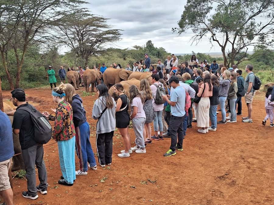 Nairobi’s Best:Elephants,Giraffes Center & Karen Blixen Tour - Leaving Nairobi at 9:30 a.m.