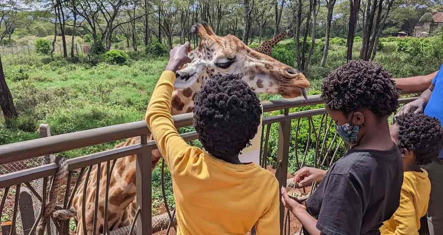 Nairobi: Sheldrick Elephant Orphanage and Giraffe Center - Meeting the baby elephants at Sheldrick