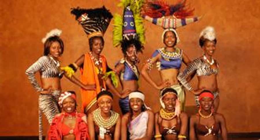 Nairobi: The Safari Cats Show Tickets & Buffet Dinner - A Kenyan dinner with the show still ahead
