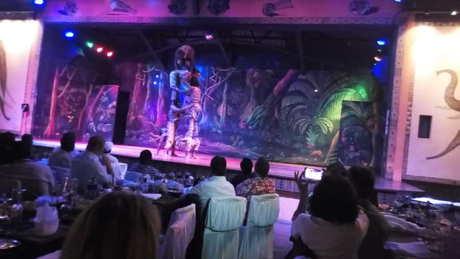 Nairobi: The Safari Cats Show Tickets & Buffet Dinner - Should you book this Nairobi night out?