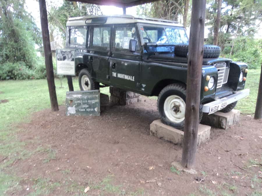 Nairobi to Lake Naivasha Day Tour with Crescent Island - Buffet lunch and high tea at Elsamere