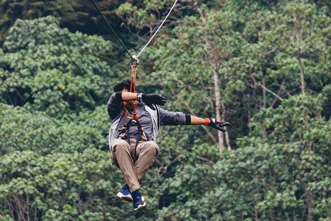 Nairobi Zip Lining Adventure Experience - Who will enjoy this Nairobi activity