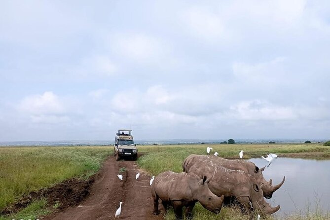 National Park Half-Day Group Tour in Nairobi with Pickup - Key points at a glance