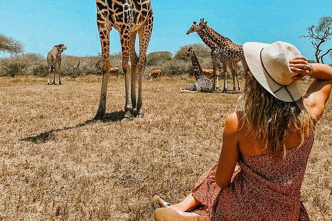Nature Walk with Giraffes in Mombasa - Meeting giraffes at Nguuni Nature Sanctuary